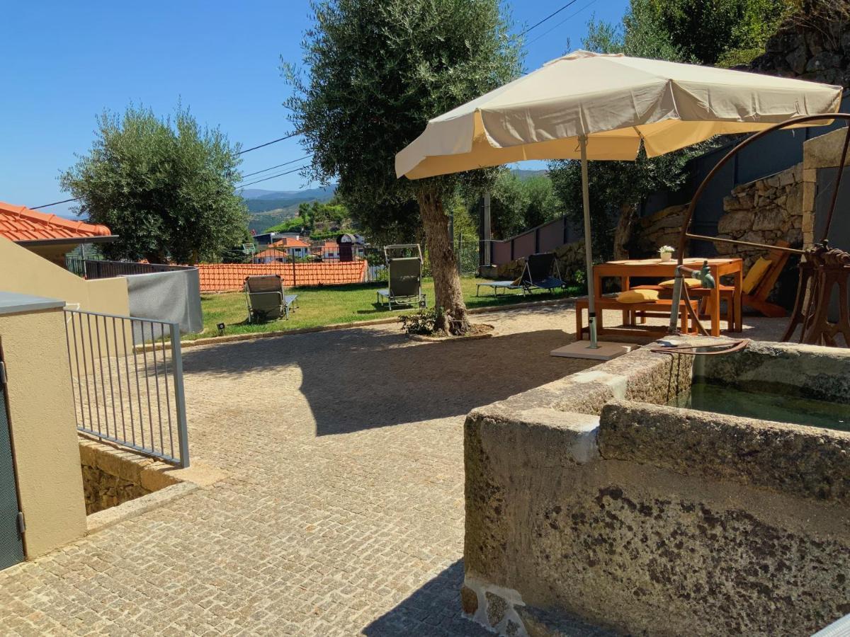 דירות Casa Da Zefinha, Em Cinfaes, No Douro מראה חיצוני תמונה